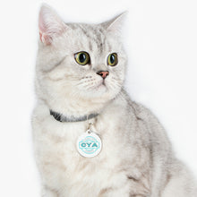 Load image into Gallery viewer, CYA Ceramic Your Assets (cyan) Pet Tag
